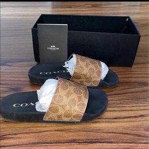 Coach slides